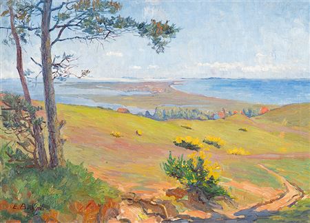 Hiddensee island view.