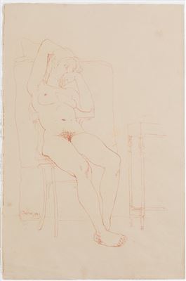 "Desnudo femenino"