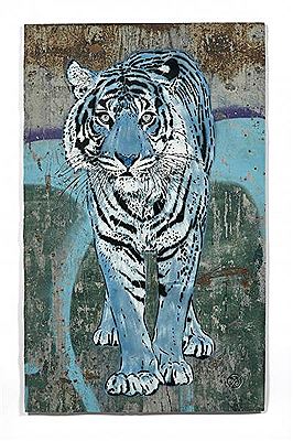 Tigre bleu - 2017