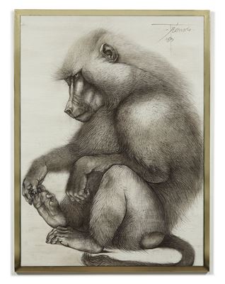 Babouin - 1973