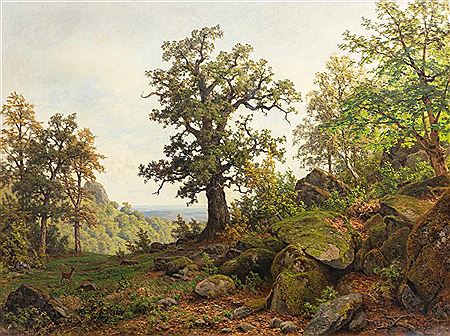 WALDLANDSCHAFT