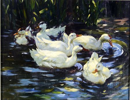 DUCKS ON A POND