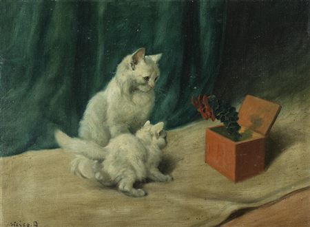 Cats and the Jack in the box