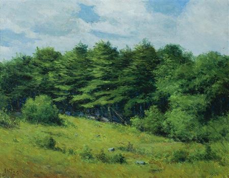Landscape with Trees by John Stevens - Auction record, sale price, and art valuation. Compare with similar artists and explore comparable artworks.