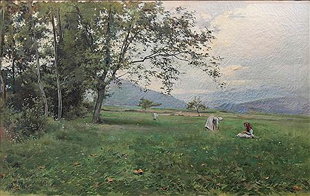 Landscape