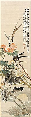 HIBISCUS FLOWERS