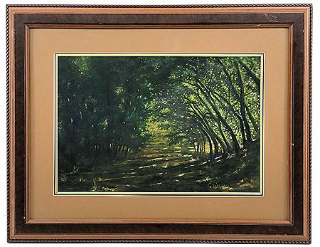 Forest Landscape