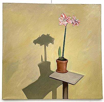 Amaryllis Still Life