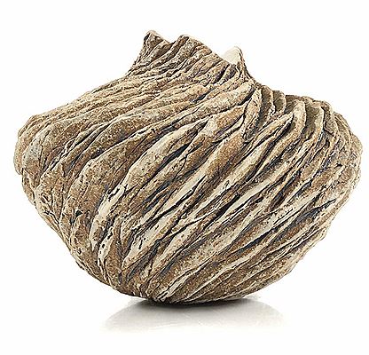 "Wind Drift" Vase