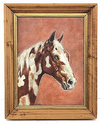 Pinto Horse Portrait