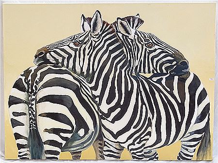Study of zebra