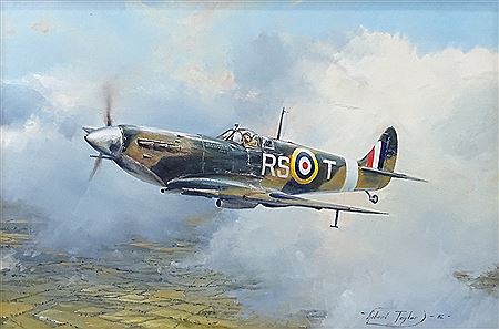 Spitfire V6 RST by Rob Taylor - Auction record, sale price, and art valuation. Compare with similar artists and explore comparable artworks.
