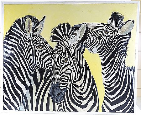 Zebra