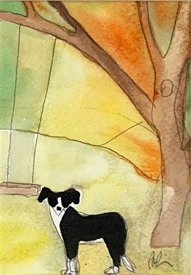 Dog by the Swing