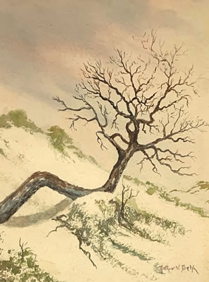 Dunes