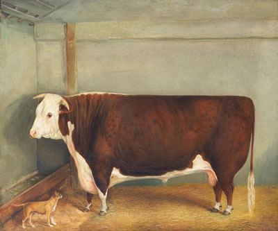 A portrait of a prize bull with a terrier in an interior