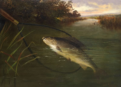 Brown trout catching minnows; Netting a grayling, a pair