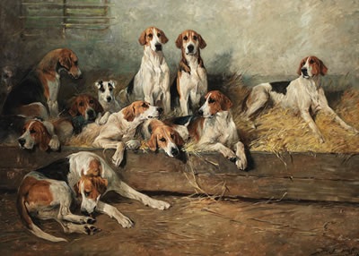 The Bitch Pack of the Meath Foxhounds