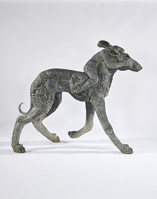 Lady-Hare on Dog