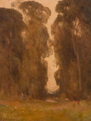 A pool amidst a grove of trees