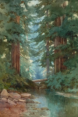 Stream in the Redwoods