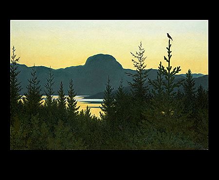 "Andersnatten" 1903