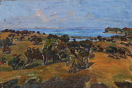 View over a coast on a summer day