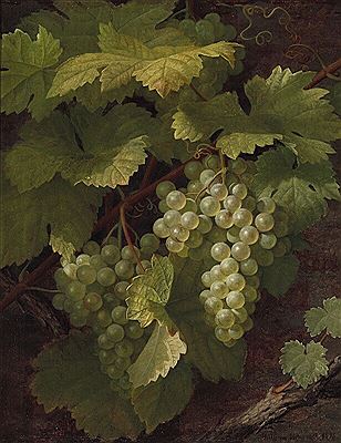 Green grapes.