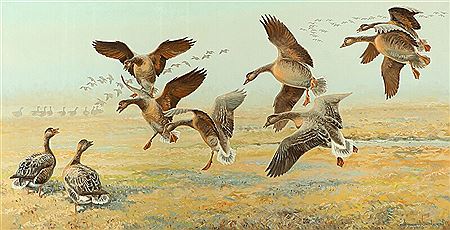 A landscape with geese.