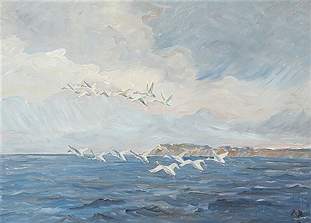 Flying swans