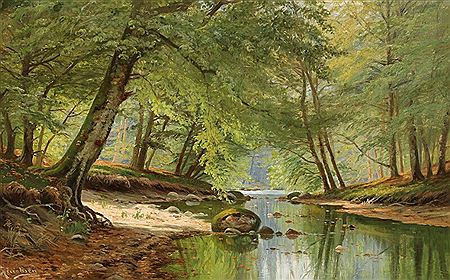 Stream through a sunny forest.
