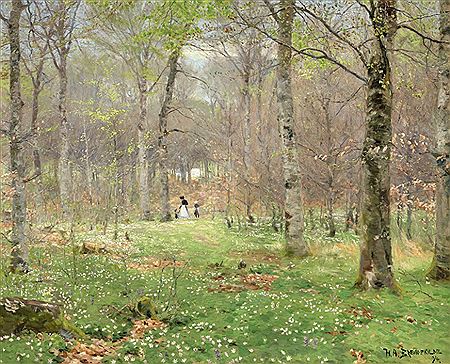 Picking anemones in Hunderup forest on Funen.
