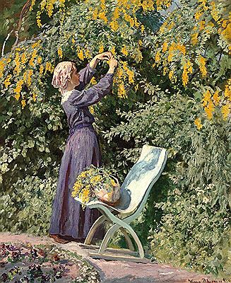 The painter's wife Johanne Louise in a purple dress in the garden picking laburnum