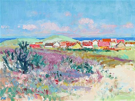“Huse i Skagen”