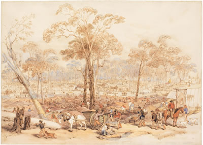 Sample artwork by George French Angas (1822 - 1886), known for natural history, botanics and anatomical drawing, lithography - View similar artists and auction records