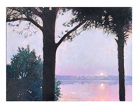 Lakeside Sunset Through the Trees