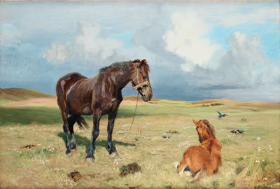 Horses on a field