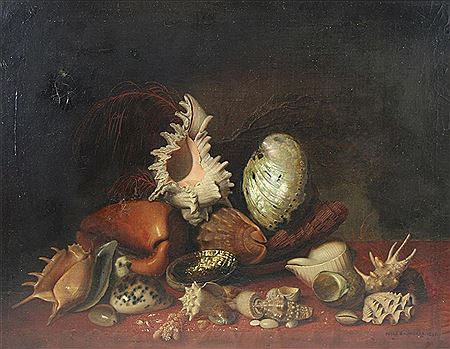 Life with Seashells, 1857