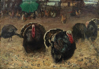 Turkeys in the yard