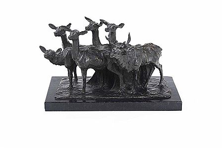 Gruppo di animali