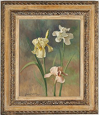 Three Irises, yellow, white and pink