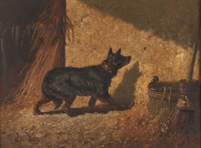 Dog With Insect