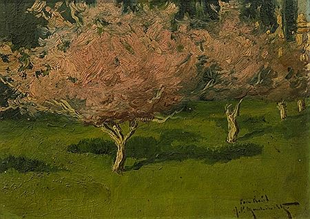 Ciruelo en flor