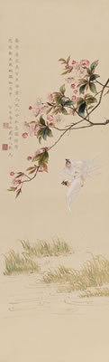BEGONIA AND SWALLOWS
