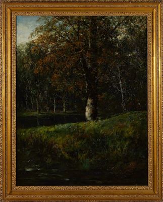 FOREST SCENE