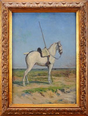 A Campino horse