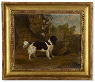 Portrait of a Dog