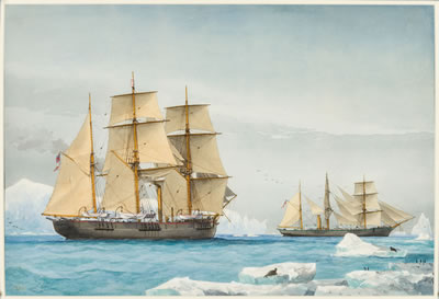 HMS Alert and Discovery in the Arctic
