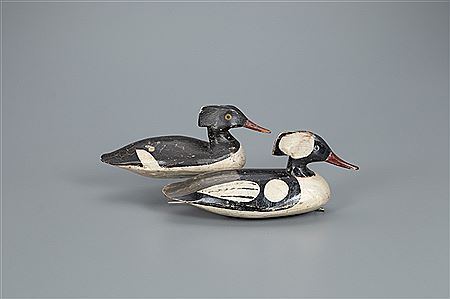 Hooded Merganser Pair