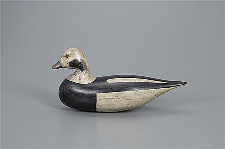 The Mackey Shourds Long-Tail